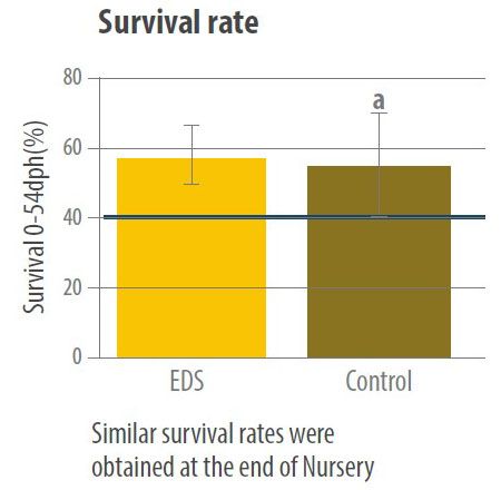 EDS Graph - Survival rate